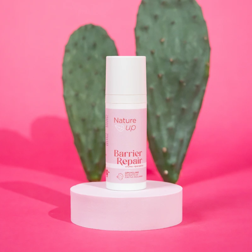 Přírodní obnovující krém na obličej Nature Up Barrier Repair – Repairing Face Cream, 50 ml